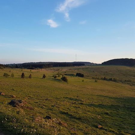 Ferienwohnung Pusteblume Ehrenberg  Eksteriør billede